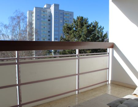 WhatsApp Image 2026-02-24 at 16.19.47 (3)