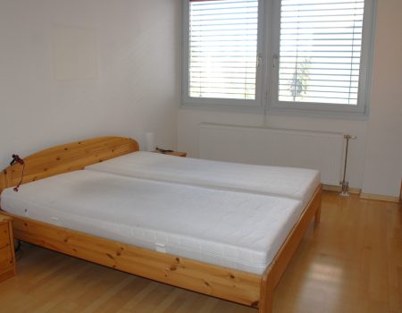 WhatsApp Image 2026-02-24 at 16.19.47