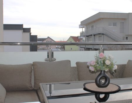 WhatsApp Image 2026-02-24 at 16.25.49 (4)