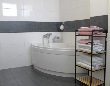 WhatsApp Image 2026-02-24 at 16.25.49